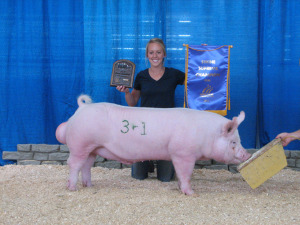 Champion York Boar, 2013 Minnesota State Fair, Kristin Boyum