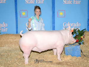 Reserve Champion York Market Animal, 2013 Colorado State Fair Open Show, Rayna Hodgson