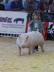 4th Overall Division 2, World Pork Expo Junior Show, Madison Brinlee